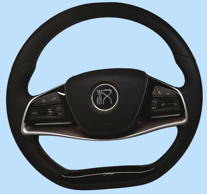 BYD 漢(加熱+HOD）